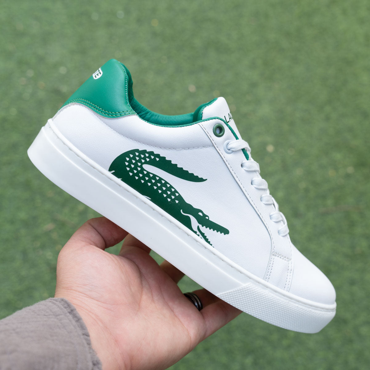 Lacoste سنيكر